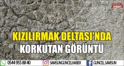 KIZILIRMAK DELTASI'NDA KORKUTAN GÖRÜNTÜ