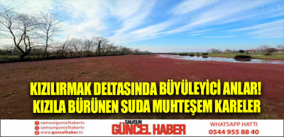 Kızılırmak Deltasında büyüleyici anlar! Kızıla bürünen suda muhteşem kareler