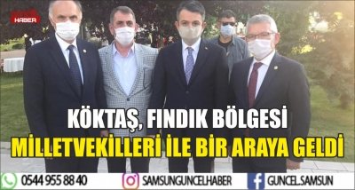 KÖKTAŞ, FINDIK BÖLGESİ MİLLETVEKİLLERİ İLE BİR ARAYA GELDİ