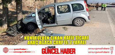 Kontrolden çıkan hafif ticari araç ağaca çarptı: 2 yaralı