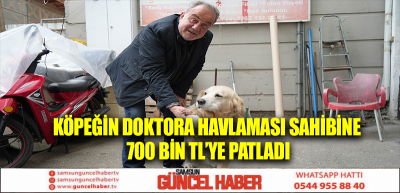 Köpeğin doktora havlaması sahibine 700 bin TL’ye patladı