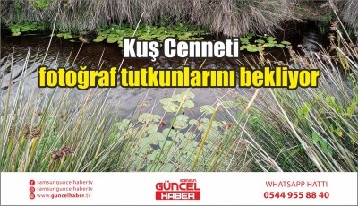  Kuş Cenneti fotoğraf tutkunlarını bekliyor 