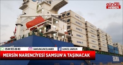 MERSİN NARENCİYESİ SAMSUN'A TAŞINACAK