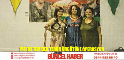 MİT ve TEM’den terör örgütüne operasyon