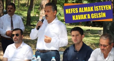 NEFES ALMAK İSTEYEN KAVAK’A GELSİN