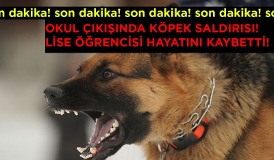 Okul Çıkışında Köpek Saldırısı ! Lise Öğrencisi Hayatını Kaybetti