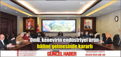 OMÜ, kenevirin endüstriyel ürün hâline gelmesinde kararlı