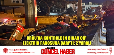 Ordu'da kontrolden çıkan cip elektrik panosuna çarptı: 2 yaralı