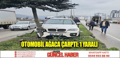 Otomobil ağaca çarptı: 1 yaralı