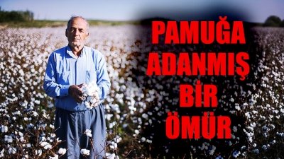 Pamuk üretimine adanmış bir ömür