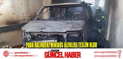 Park halindeki minibüs alevlere teslim oldu