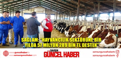 Sağlam: “Hayvancılık sektörüne bir yılda 57 milyon 289 bin TL destek”