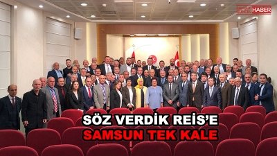 Samsun Tek Kale 