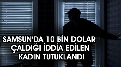 Samsun'da 10 Bin Dolar Çaldığı İddia Edilen Kadın Tutuklandı