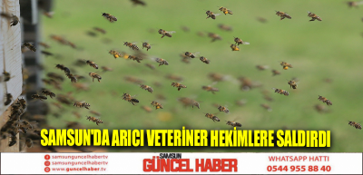 Samsun'da arıcı veteriner hekimlere saldırdı