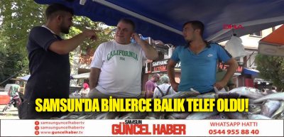 SAMSUN'DA BİNLERCE BALIK TELEF OLDU!