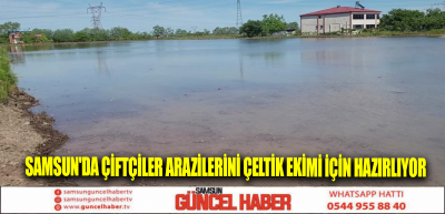 Samsun'da çiftçiler arazilerini çeltik ekimi için hazırlıyor