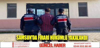 Samsun'da firari hükümlü yakalandı