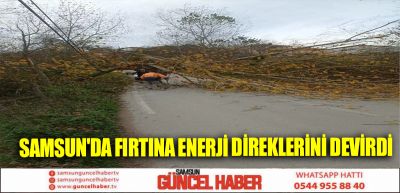 Samsun'da Fırtına Enerji Direklerini Devirdi