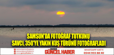 Samsun'da fotoğraf tutkunu savcı, 350'ye yakın kuş türünü fotoğrafladı