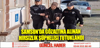 Samsun'da gözaltına alınan hırsızlık şüphelisi tutuklandı