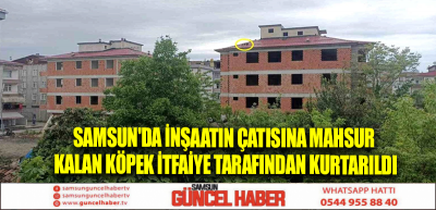 Samsun'da İnşaatın Çatısına Mahsur Kalan Köpek İtfaiye Tarafından Kurtarıldı