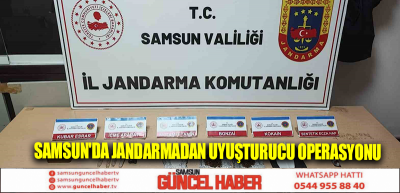 Samsun'da Jandarmadan uyuşturucu operasyonu