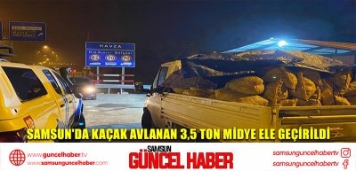 Samsun'da kaçak avlanan 3,5 ton midye ele geçirildi