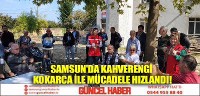 Samsun'da kahverengi kokarca ile mücadele hızlandı!