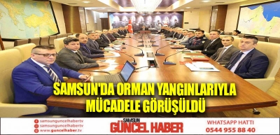 Samsun'da Orman yangınlarıyla mücadele görüşüldü