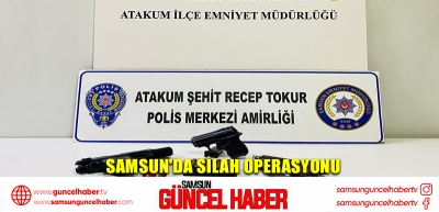 Samsun'da silah operasyonu