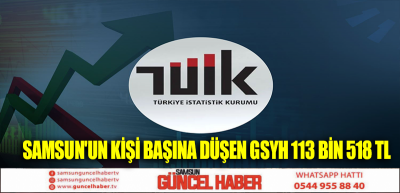 Samsun'un kişi başına düşen GSYH 113 bin 518 TL