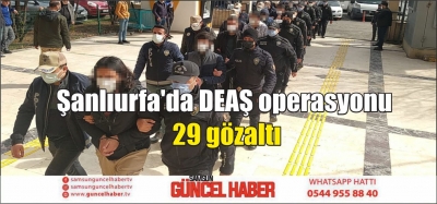 Şanlıurfa'da DEAŞ operasyonu: 29 gözaltı