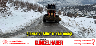 Şırnak ve Siirt’te kar yağışı