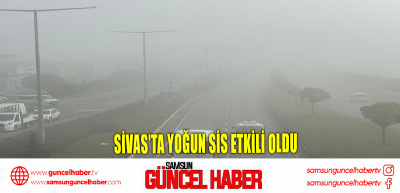 Sivas'ta yoğun sis etkili oldu