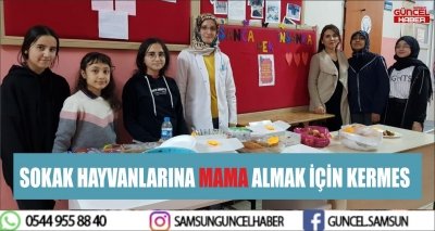 SOKAK HAYVANLARINA MAMA ALMAK İÇİN KERMES