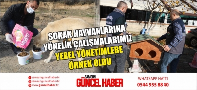 SOKAK HAYVANLARINA YÖNELİK ÇALIŞMALARIMIZ YEREL YÖNETİMLERE ÖRNEK OLDU