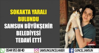 SOKAKTA YARALI BULUNDU SAMSUN BÜYÜKŞEHİR BELEDİYESİ TEDAVİ ETTİ