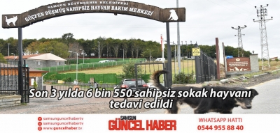 Son 3 yılda 6 bin 550 sahipsiz sokak hayvanı tedavi edildi