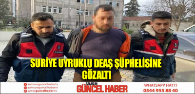 Suriye uyruklu DEAŞ şüphelisine gözaltı