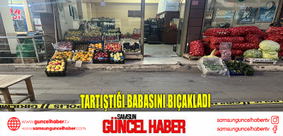 Tartıştığı babasını bıçakladı