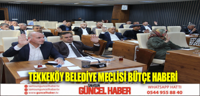 TEKKEKÖY BELEDİYE MECLİSİ BÜTÇE HABERİ