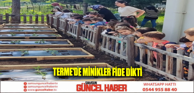 Terme'de minikler fide dikti