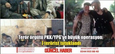 Terör örgütü PKK/YPG'ye büyük operasyon: 7 terörist tutuklandı