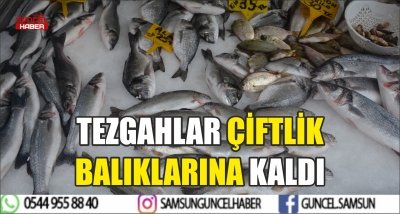 TEZGAHLAR ÇİFTLİK BALIKLARINA KALDI