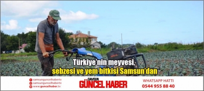 Türkiye’nin meyvesi, sebzesi ve yem bitkisi Samsun’dan