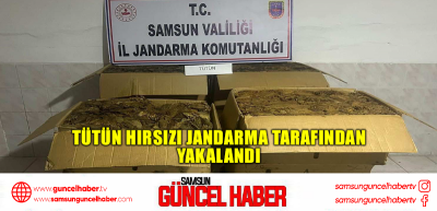 Tütün hırsızı jandarma tarafından yakalandı