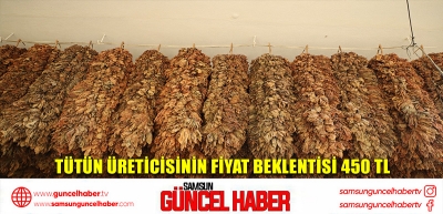 Tütün üreticisinin fiyat beklentisi 450 TL