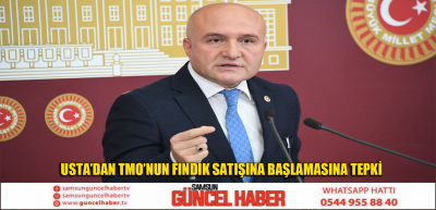 USTA’DAN TMO’NUN FINDIK SATIŞINA BAŞLAMASINA TEPKİ