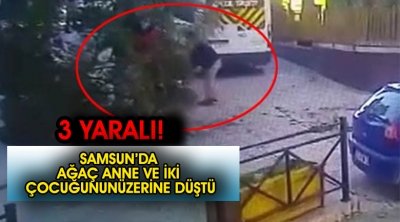 Üzerine ağaç dalı düşen anne ve 2 çocuğu yaralandı